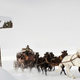 Illustration for article titled Ennio Morricone’s score for iThe Hateful Eight/i will be released on vinyl